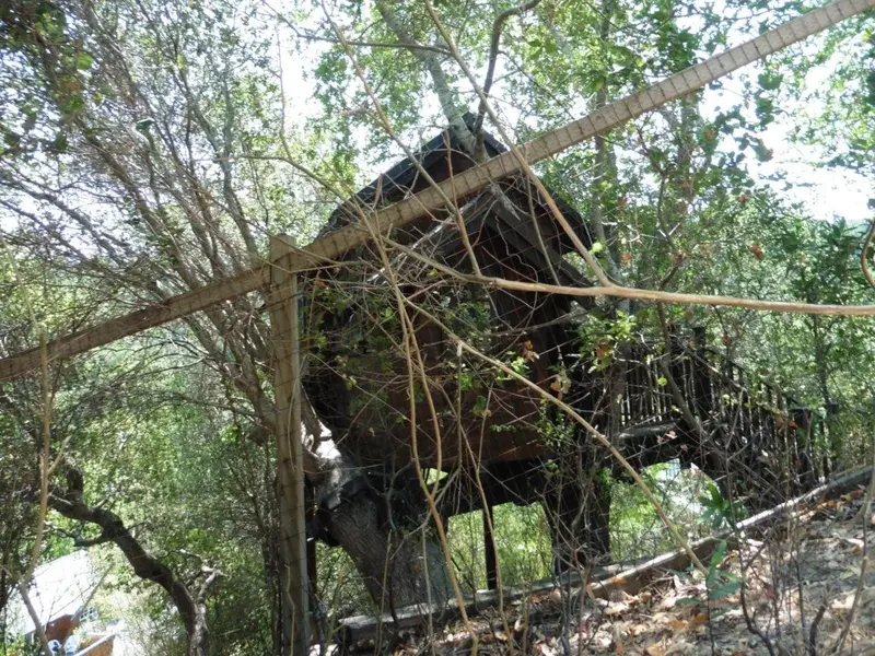 Treehouse.webp