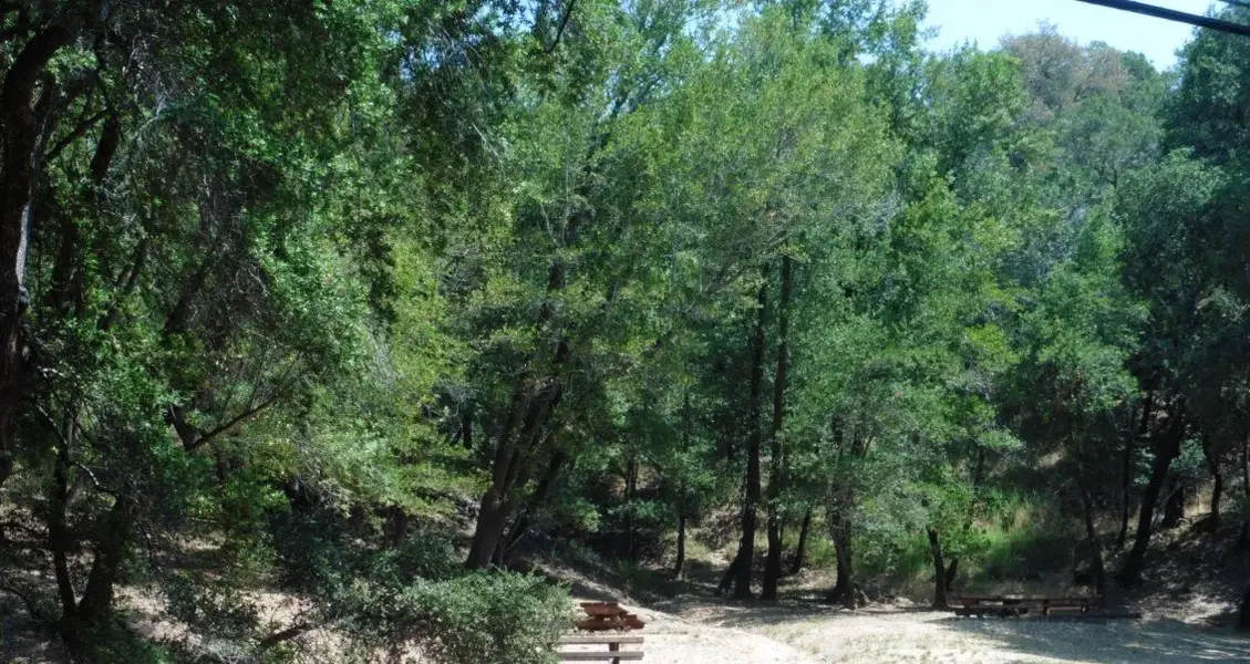 Picnic area.webp