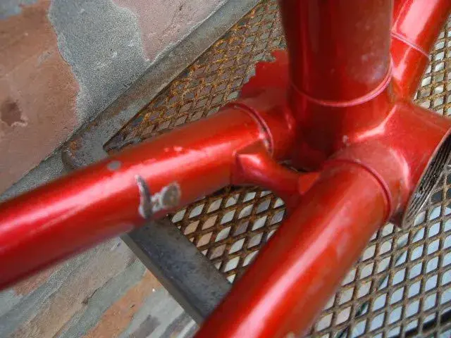 IMGP1481.webp