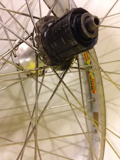 XT M735 & 231 05.webp