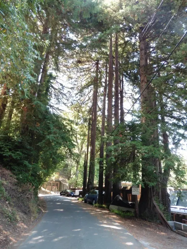 Church of the Redwoods.webp