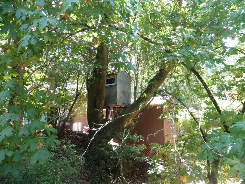 Another treehouse.webp