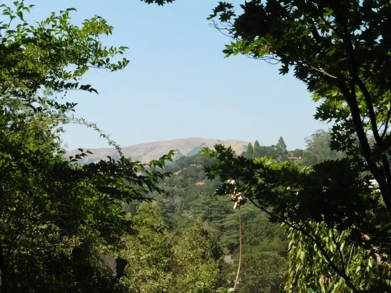 Loma Alta in the distance.webp