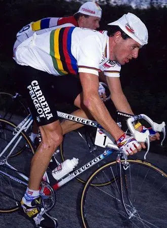 rochepeugeot.webp