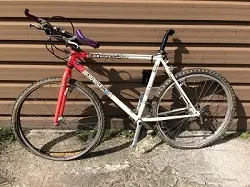 mtb 1.webp