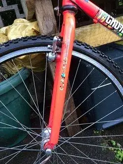 mtb 2.webp