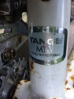 mtb 4.webp