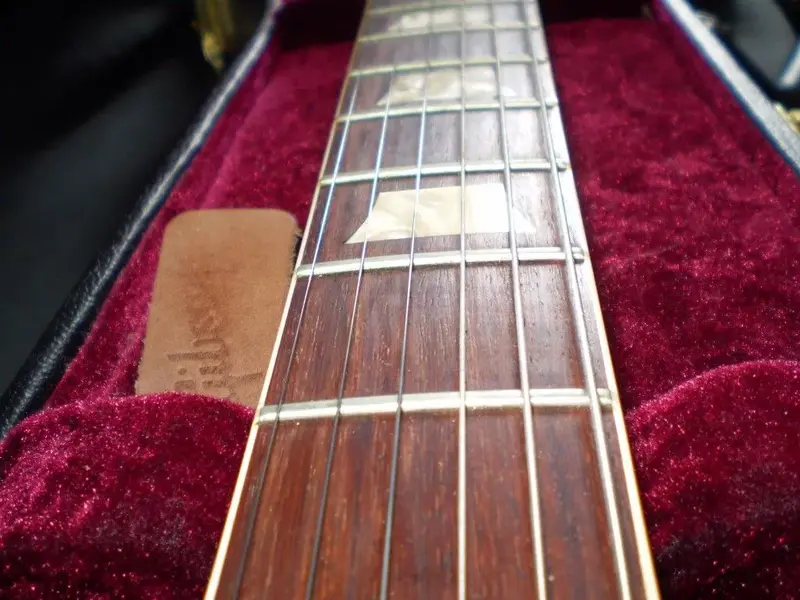 P1010487 (Medium).webp