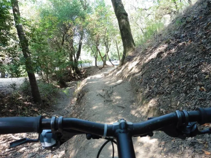 On the trail.webp