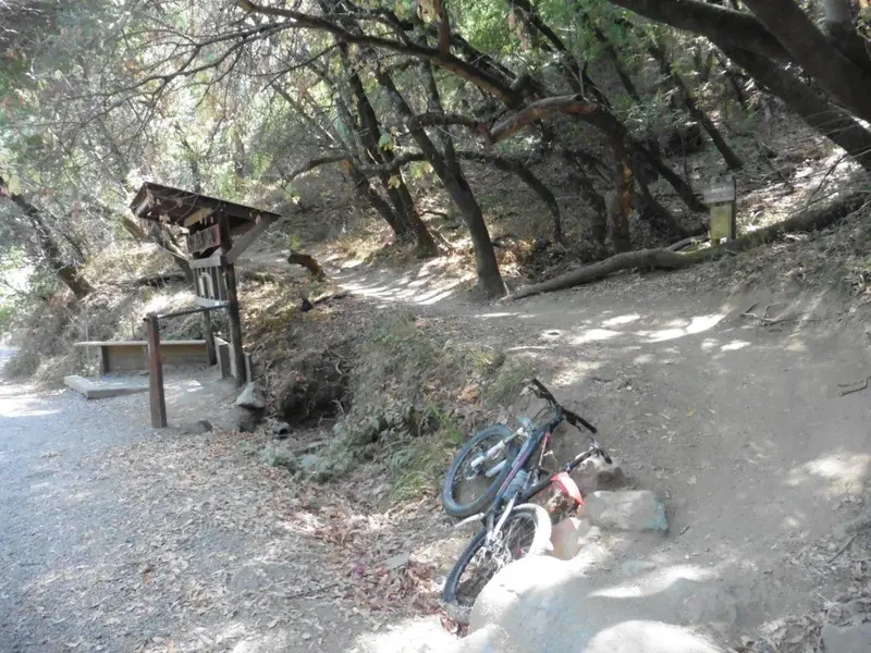 Alchemist Trail Head.webp