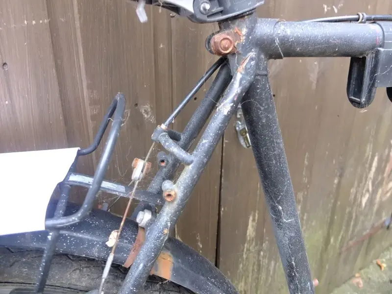 DSCF9255.webp