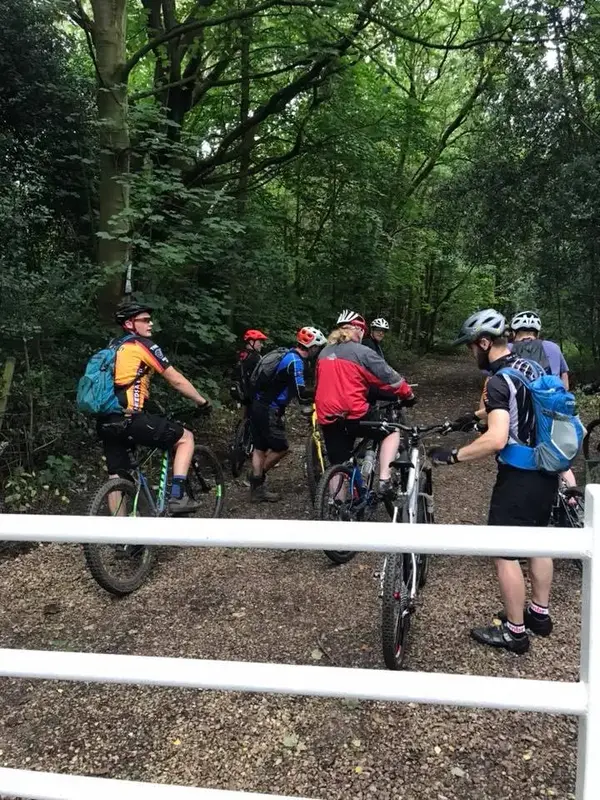blokes int woods.webp