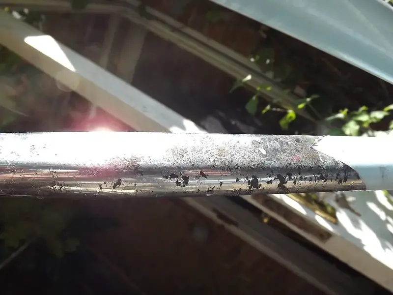 DSCF3184.webp