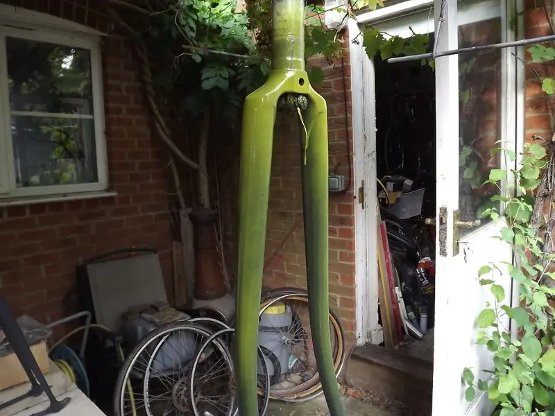 DSCF3206.webp