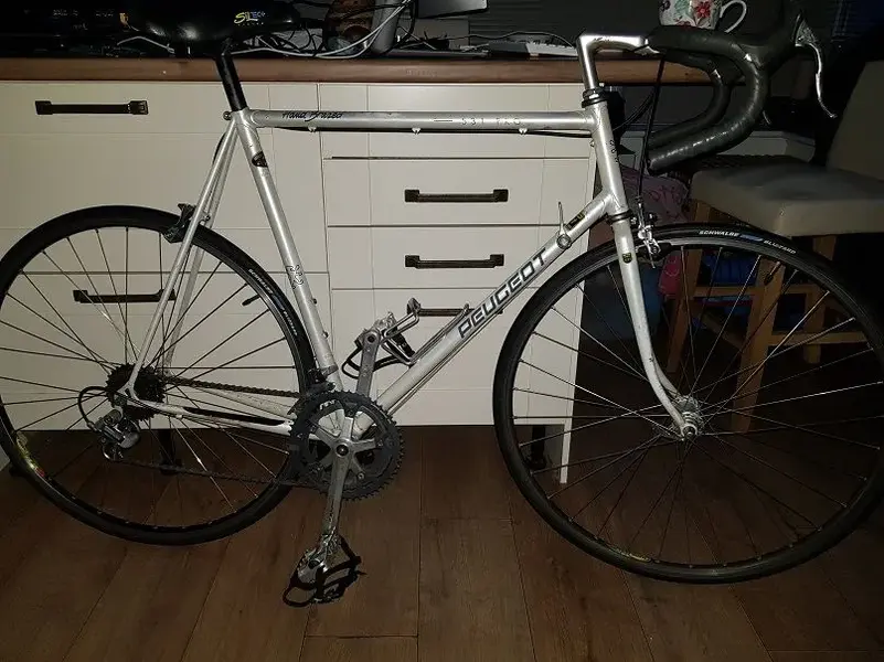Peugeot 531 Pro.webp
