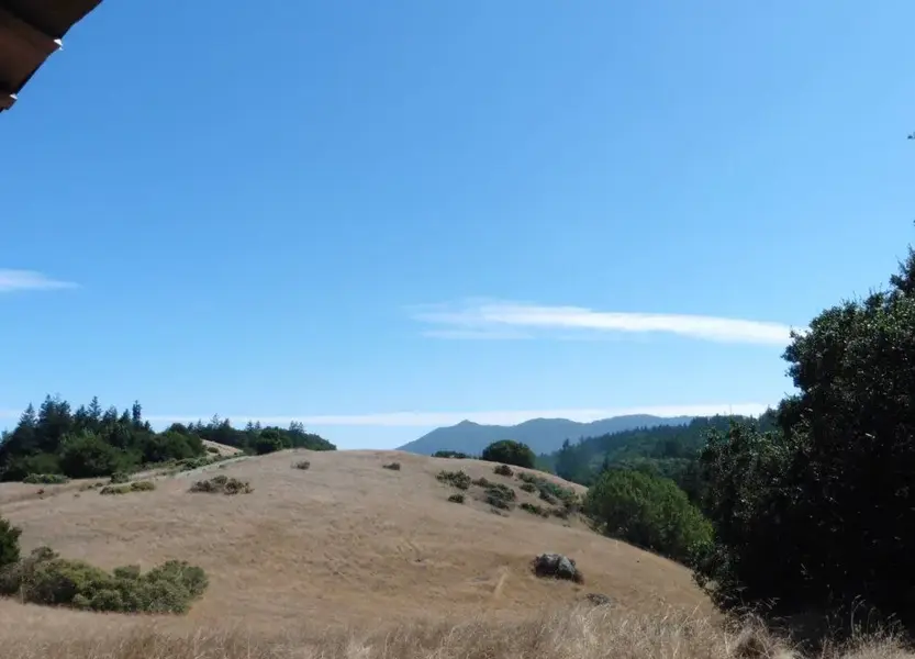 Not a bad view of Tam.webp