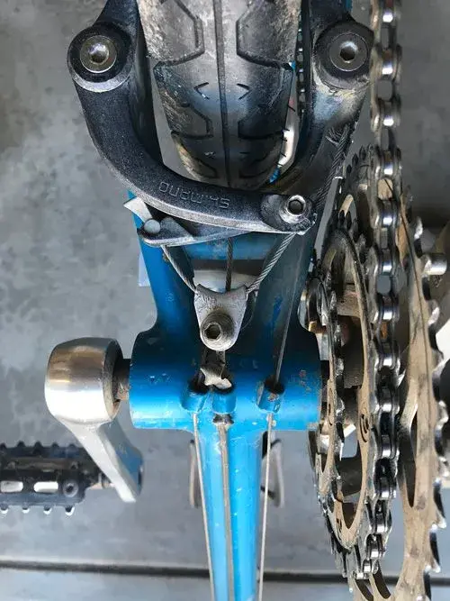 87_Fisher_MtTam_BB_2018.webp