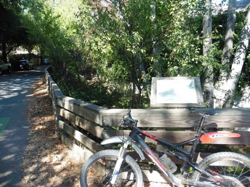 Creekside.webp