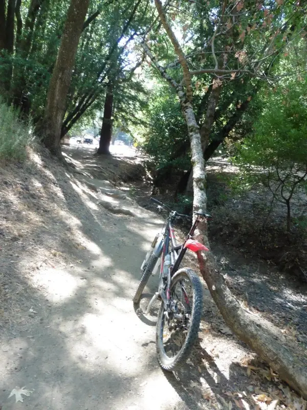 Today's Trail.webp