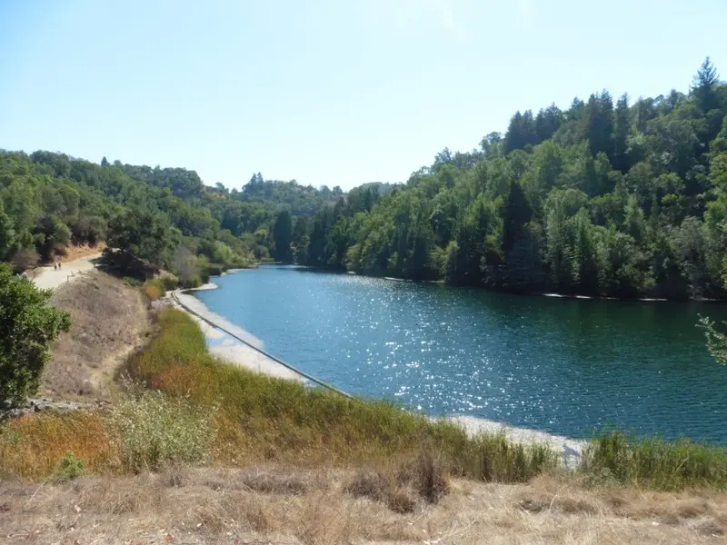 Phoenix Lake.webp