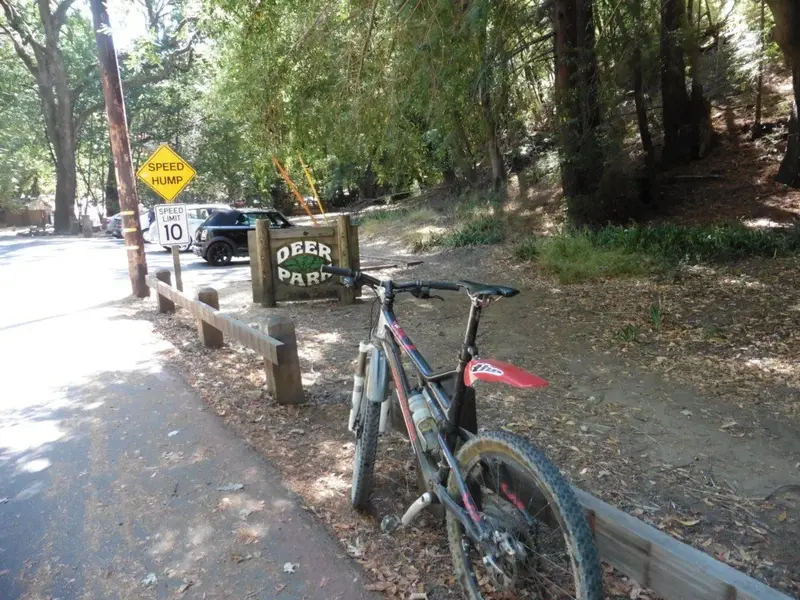 Deer Park.webp