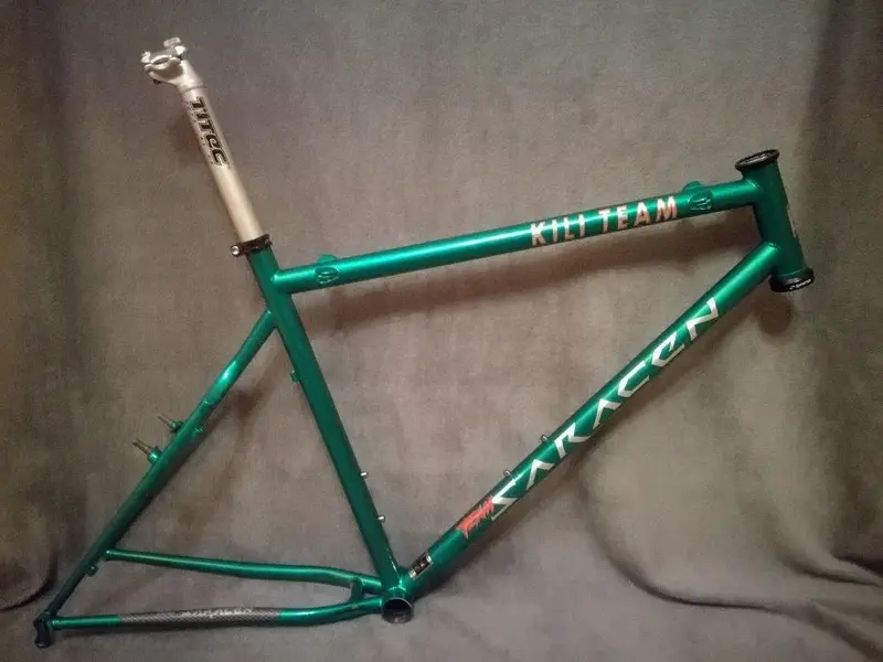 Saracen LR.webp