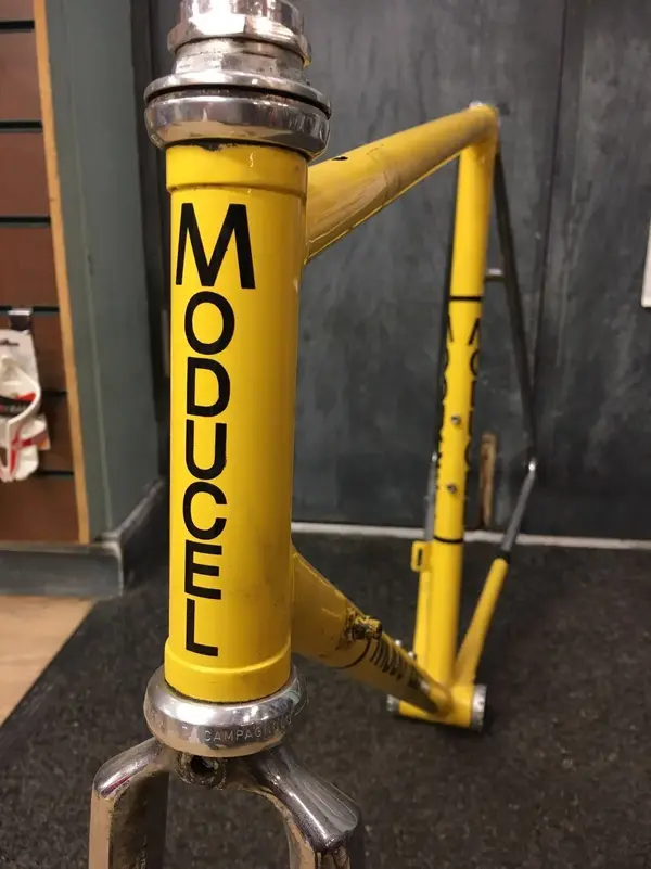 Moducel 2.webp