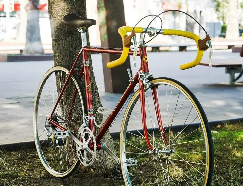 Colnago Sport.webp