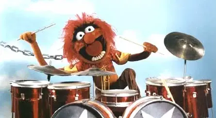 animal_drums.webp