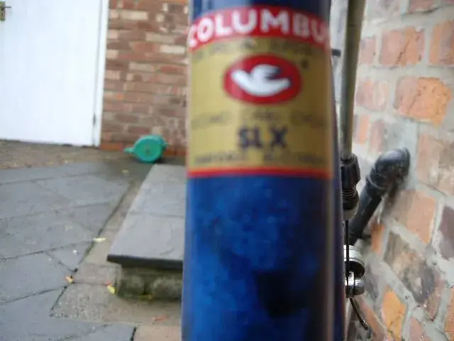 IMGP1506.webp