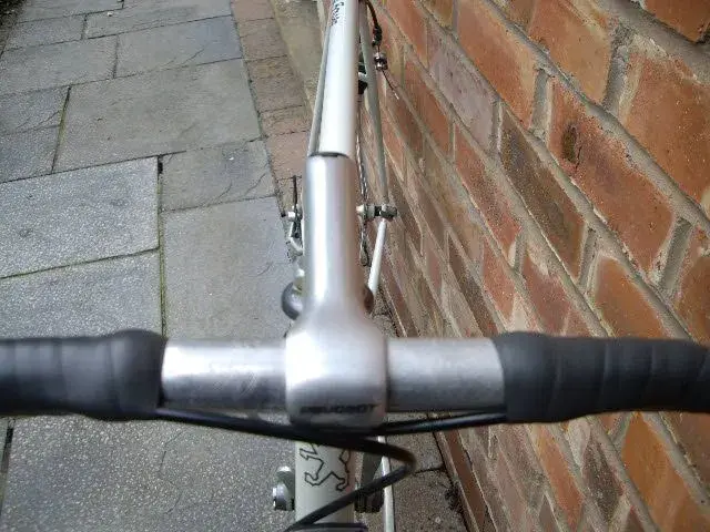 IMGP1547.webp