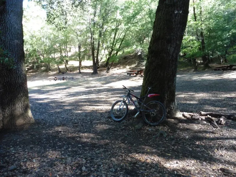 Rest stop.webp