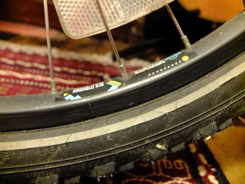 DSCF9523.webp