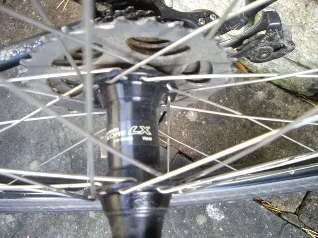 IMGP1571.webp