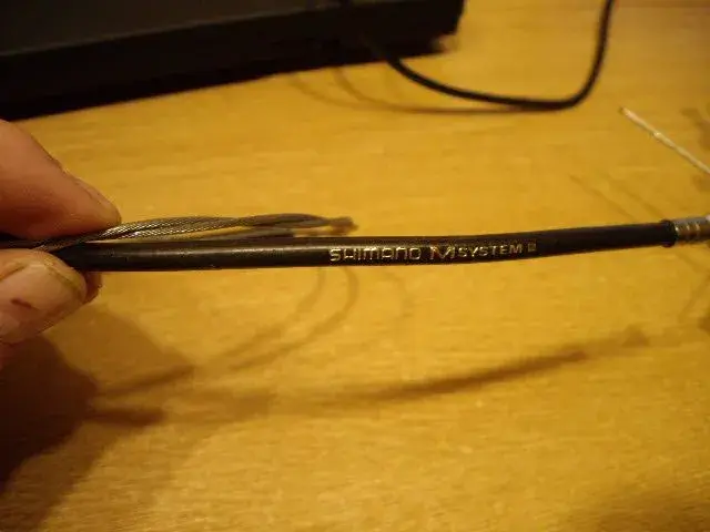 IMGP1582.webp