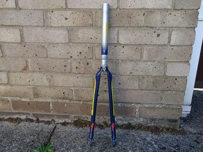 fork pic 1.webp