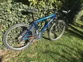 thumbnail_IMG_2638JPG.webp