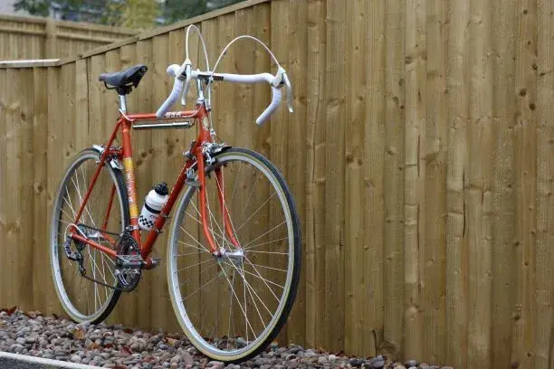 TDF smaller.webp