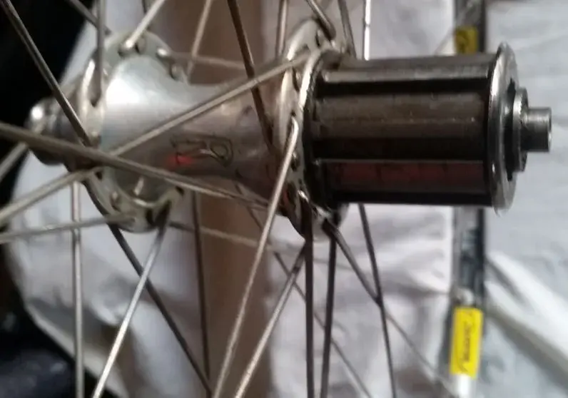 rear 1.webp