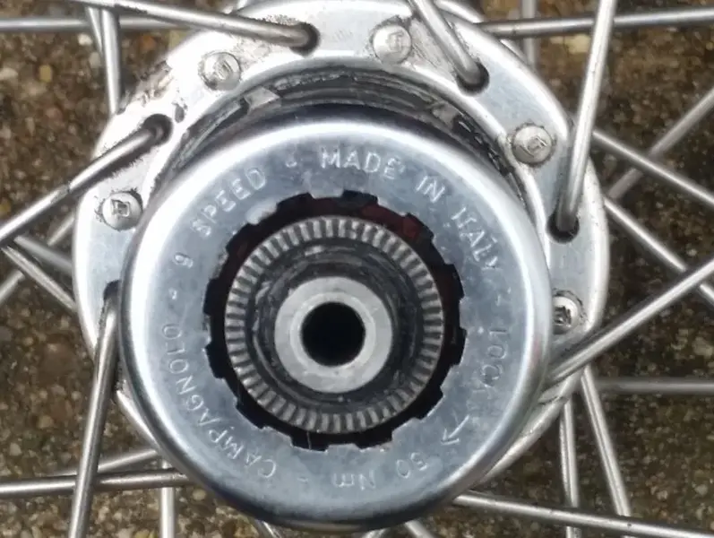 rear 2.webp