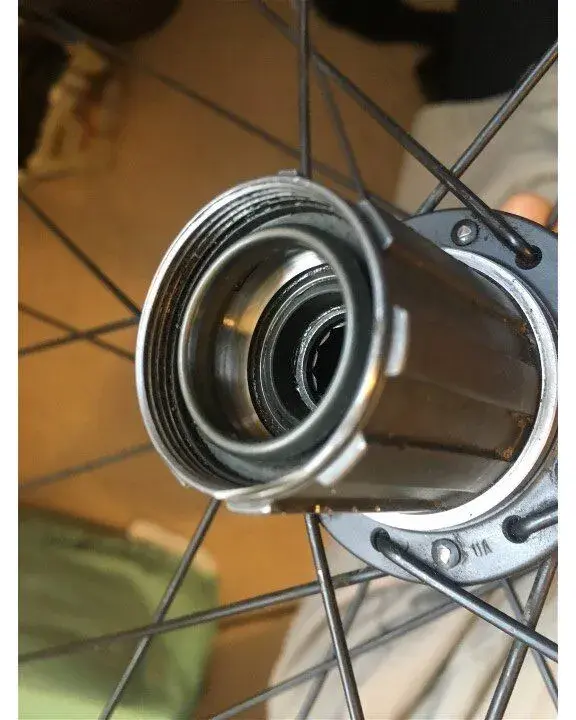 XTR_Freehub.webp
