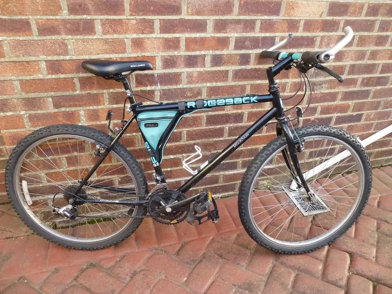 MOAR RIDGEBACK 048 - Copy.webp