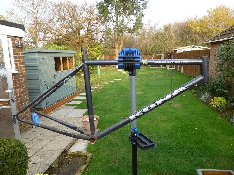 CINDER CONE 001.webp