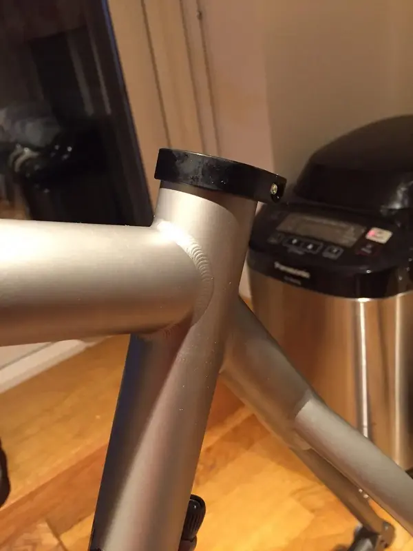 Moots1.webp