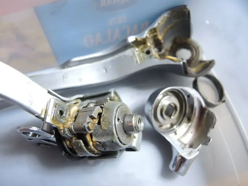 DSCN6617.webp
