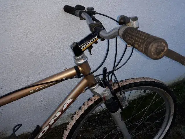 20181125_080948 (640x480).webp