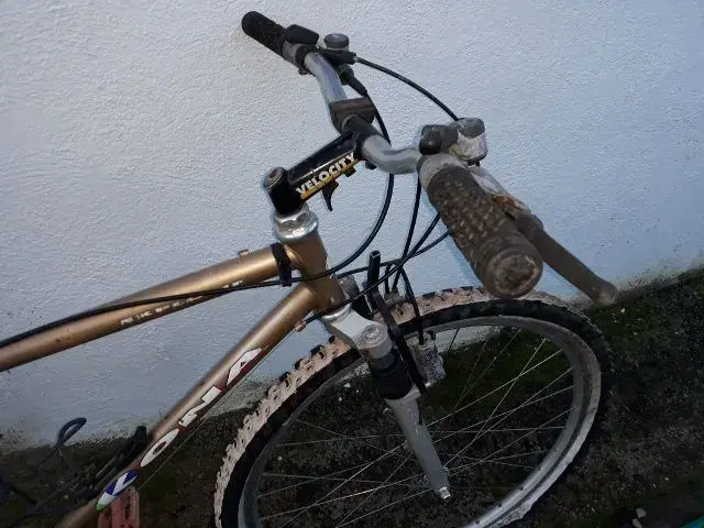 20181125_081149 (640x480).webp
