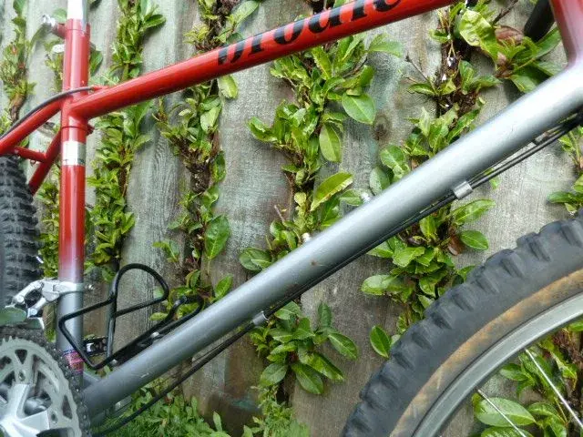 Red-Grey Romax 101.webp