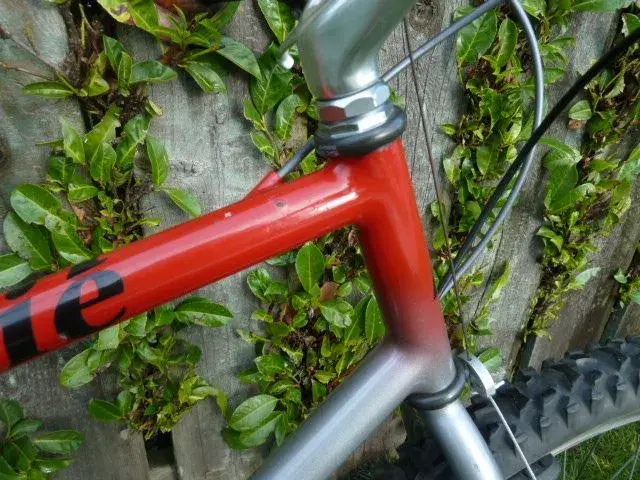 Red-Grey Romax 096.webp