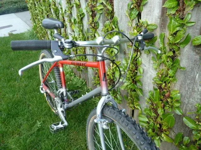 Red-Grey Romax 093.webp
